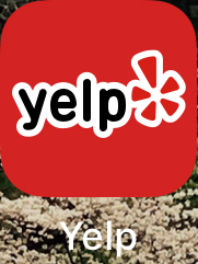 yelp01
